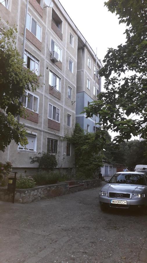 Garsoniera Simo Apartment Orsova Exterior photo